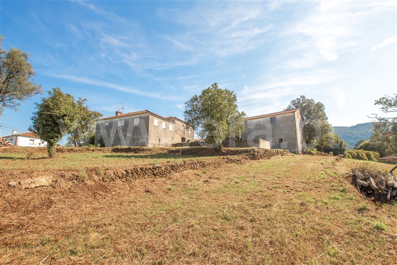 Herdade  Caminha, Argela - 1271503 - 18