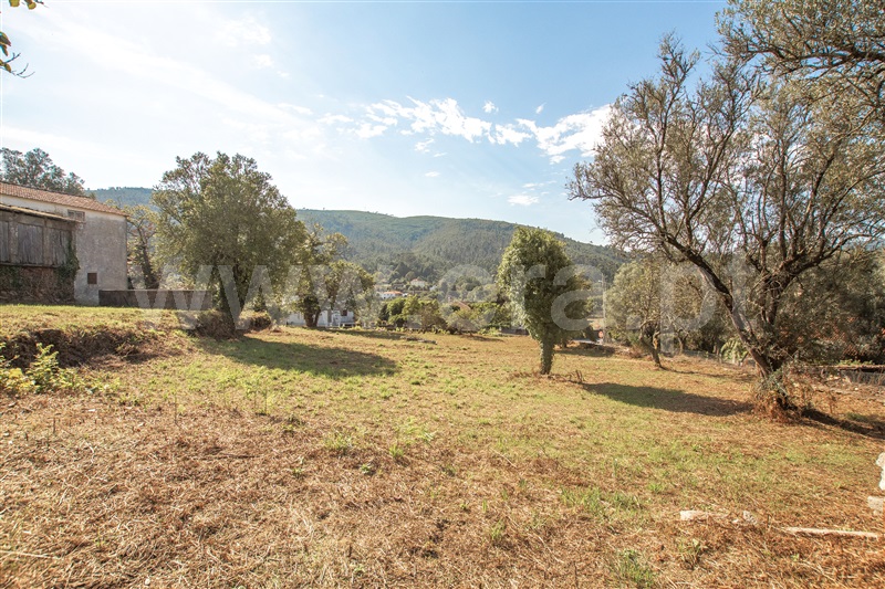 Herdade  Caminha, Argela - 1271503 - 20