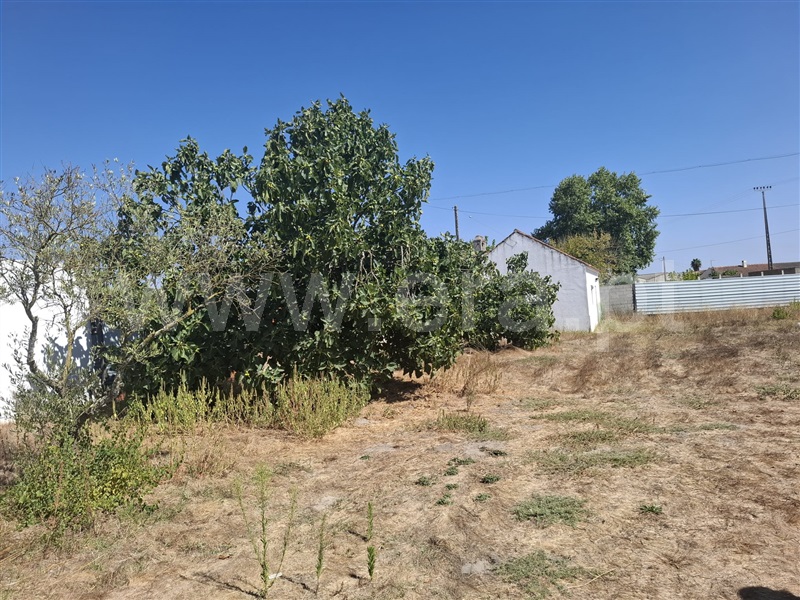 Quintinha T4 / Coruche, Coruche, Fajarda e Erra