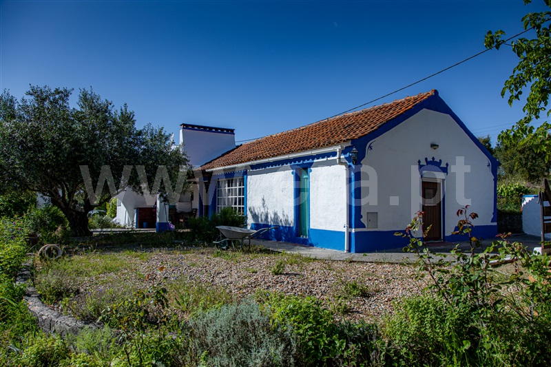 Quintinha T4 / Mora, Brotas