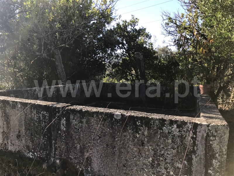 Quintinha T5 Amares, Amares e Figueiredo - 961155 - 37