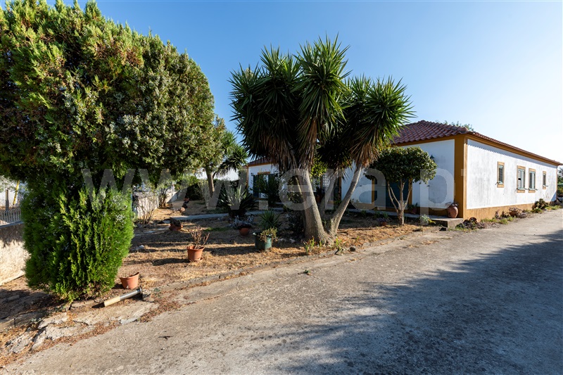 Quintinha T5 Constância, Santa Margarida - 1480878 - 3