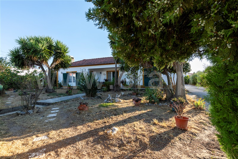 Quintinha T5 / Constância, Santa Margarida