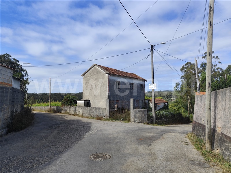 Quintinha T5 / Ovar, S.V. Pereira