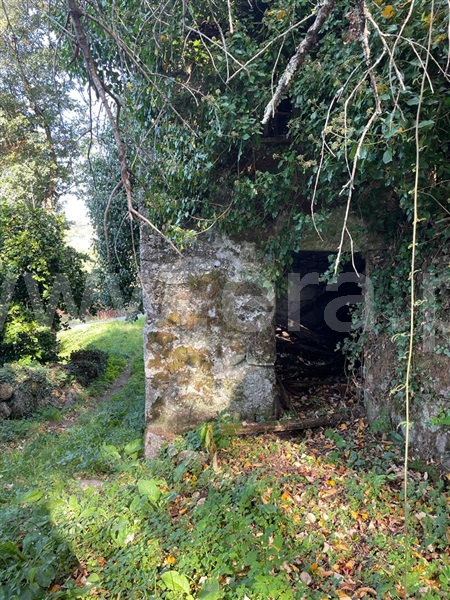 Quintinha T6 Fafe, Fafe - 1215809 - 3