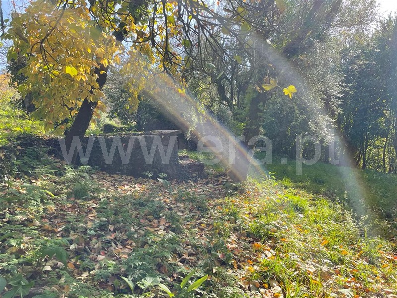 Quintinha T6 Fafe, Fafe - 1215809 - 20