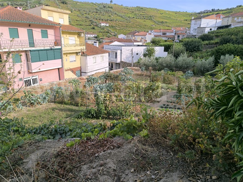 Moradia T6 Lamego, Sande - 1479657 - 6