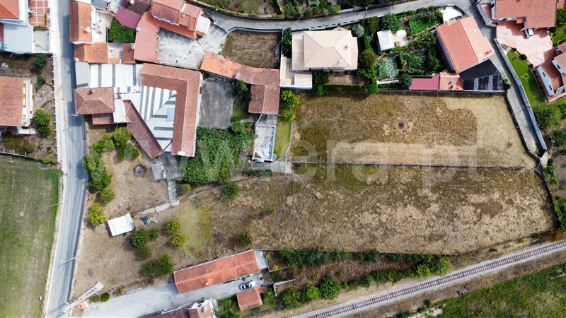 Quintinha T6 / Oliveira de Azeméis, Pinheiro da Bemposta, Travanca e Palmaz