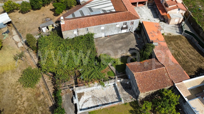 Quintinha T6 Oliveira de Azeméis, Pinheiro da Bemposta, Travanca e Palmaz - 1500148 - 3