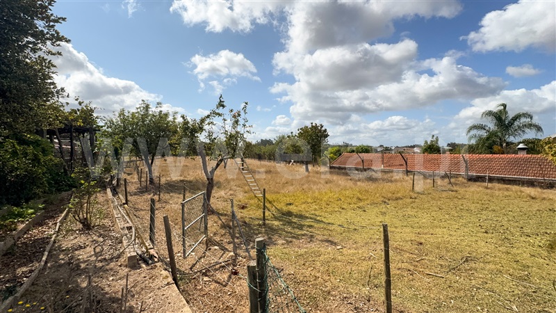 Quintinha T6 Oliveira de Azeméis, Pinheiro da Bemposta, Travanca e Palmaz - 1500148 - 39