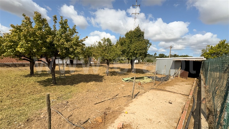 Quintinha T6 Oliveira de Azeméis, Pinheiro da Bemposta, Travanca e Palmaz - 1500148 - 40