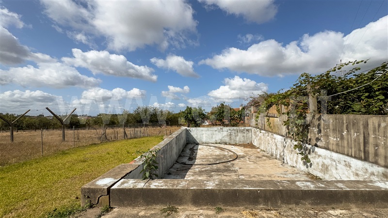 Quintinha T6 Oliveira de Azeméis, Pinheiro da Bemposta, Travanca e Palmaz - 1500148 - 46