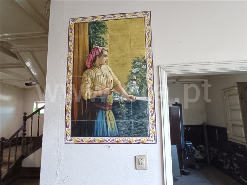 Casa Senhorial T6 Resende, Cárquere - 1436346 - 7