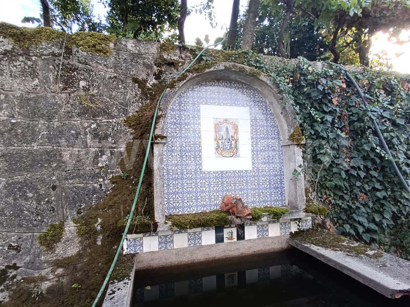 Casa Senhorial T6 Resende, Cárquere - 1436346 - 11