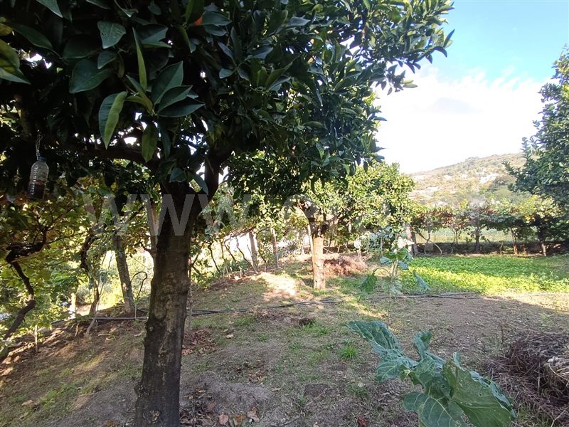 Casa Senhorial T6 Resende, Cárquere - 1436346 - 12