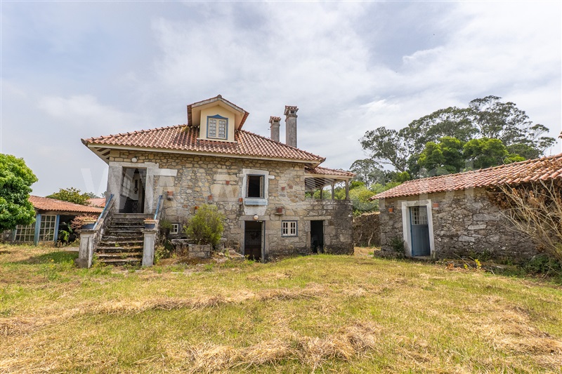 Quintinha T7 / Caminha, Âncora
