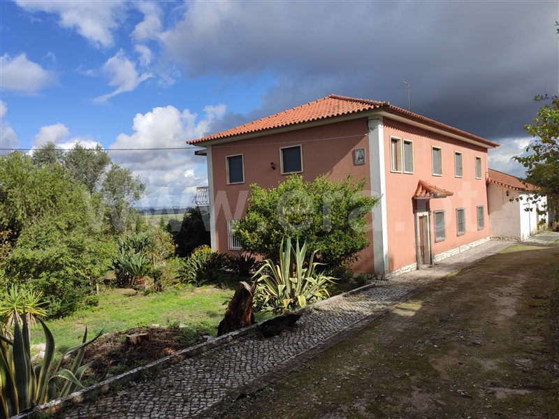 Quintinha T7 / Chamusca, Chamusca e Pinheiro Grande