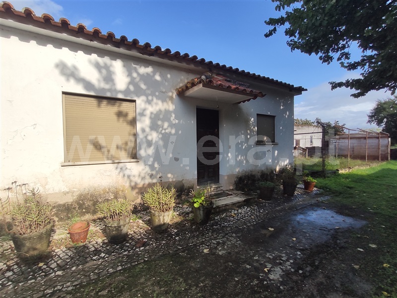 Quintinha T7 Chamusca, Chamusca e Pinheiro Grande - 1438419 - 16