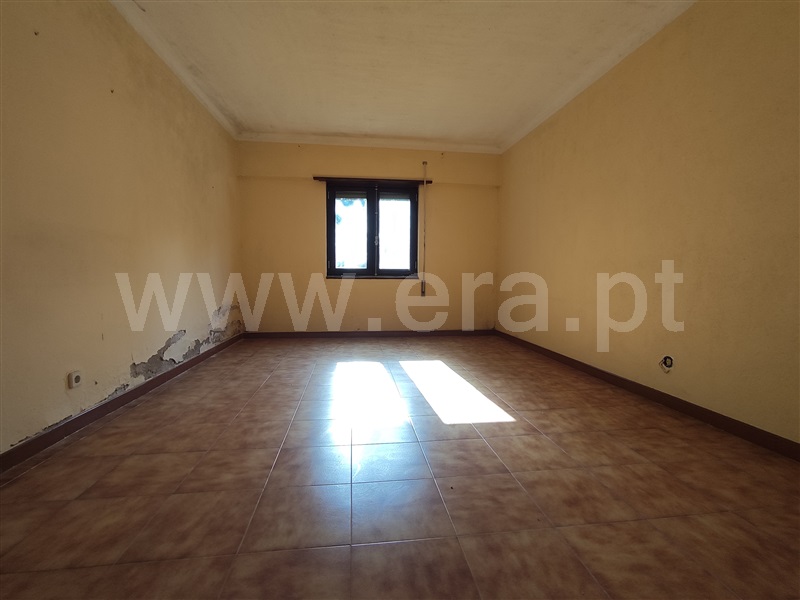 Quintinha T7 Chamusca, Chamusca e Pinheiro Grande - 1438419 - 21