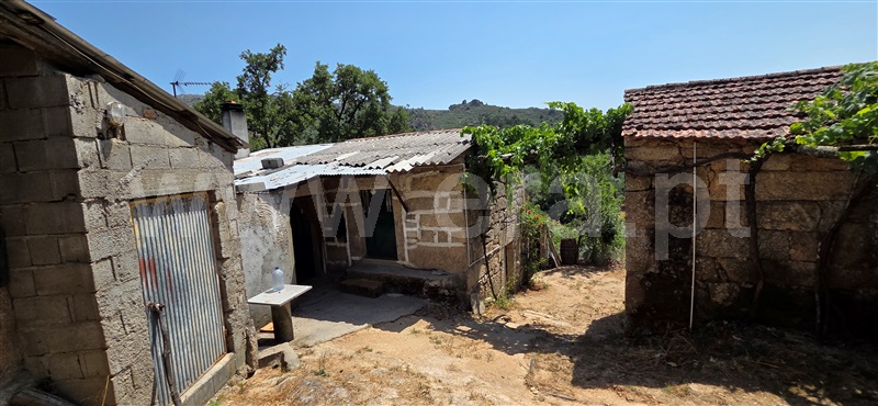 Quintinha T2 Trancoso, Aldeia Nova - 1496241 - 19