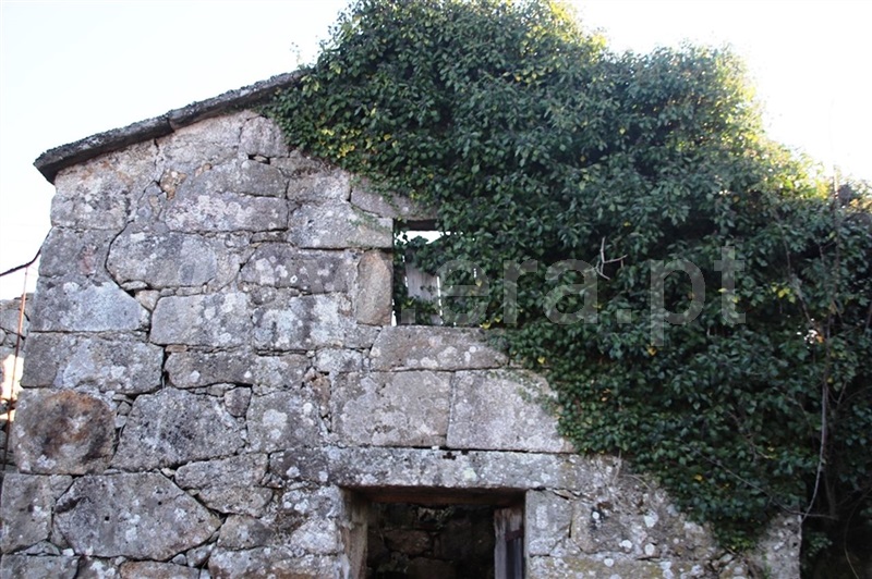 Quintinha  Vieira do Minho, Ruivães e Campos - 1400192 - 8