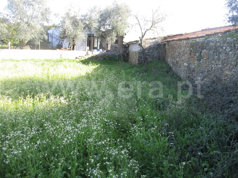 Quintinha  Vila Velha de Rodão, Fratel - 982123 - 20
