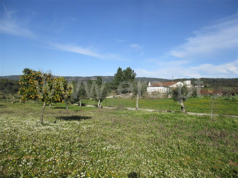 Quintinha  Vila Velha de Rodão, Fratel - 982123 - 4