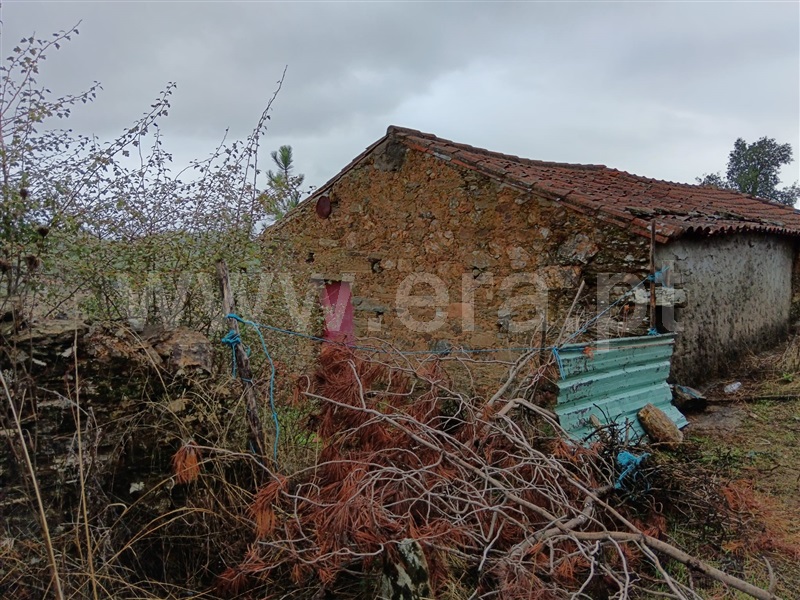 Quintinha  Vila Velha de Rodão, Perais - 1438235 - 4