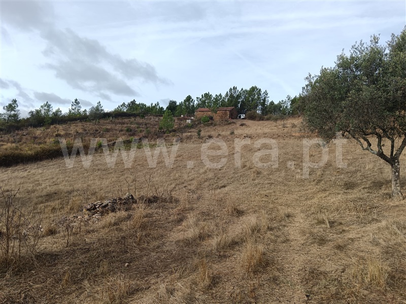 Quintinha  Vila Velha de Rodão, Perais - 1438235 - 7