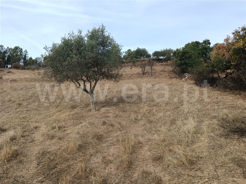 Quintinha  Vila Velha de Rodão, Perais - 1438235 - 9