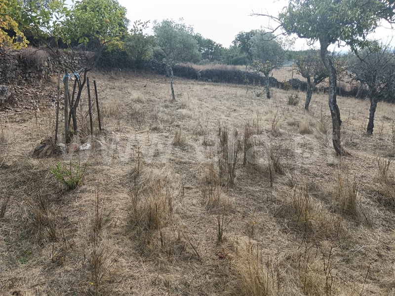 Quintinha  Vila Velha de Rodão, Perais - 1438235 - 11
