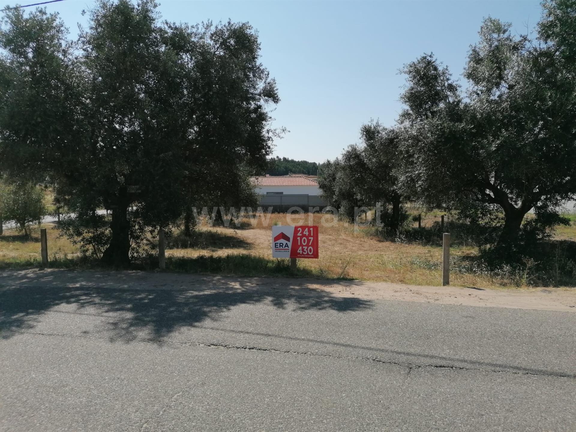 Land for sale in Abrantes, Portugal — €70,000