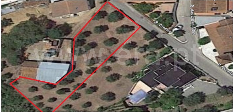 Terreno  Abrantes, Amoreira - 1384615 - 1