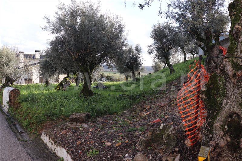 Terreno  Abrantes, Amoreira - 1384615 - 2