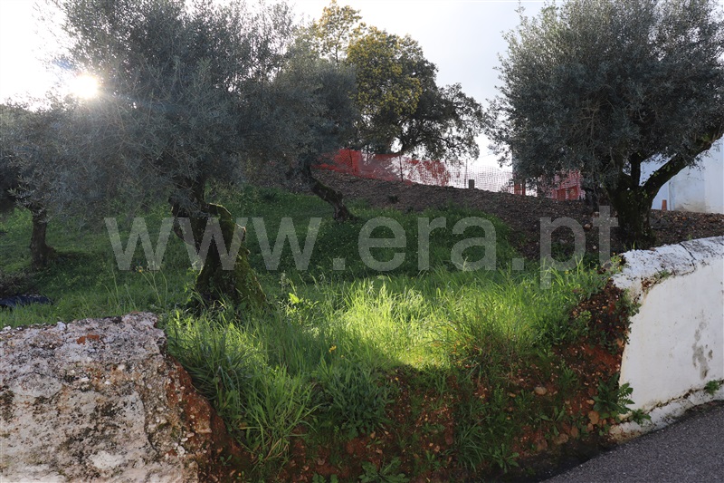 Terreno  Abrantes, Amoreira - 1384615 - 4