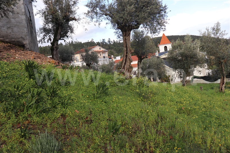 Terreno  Abrantes, Amoreira - 1384615 - 8