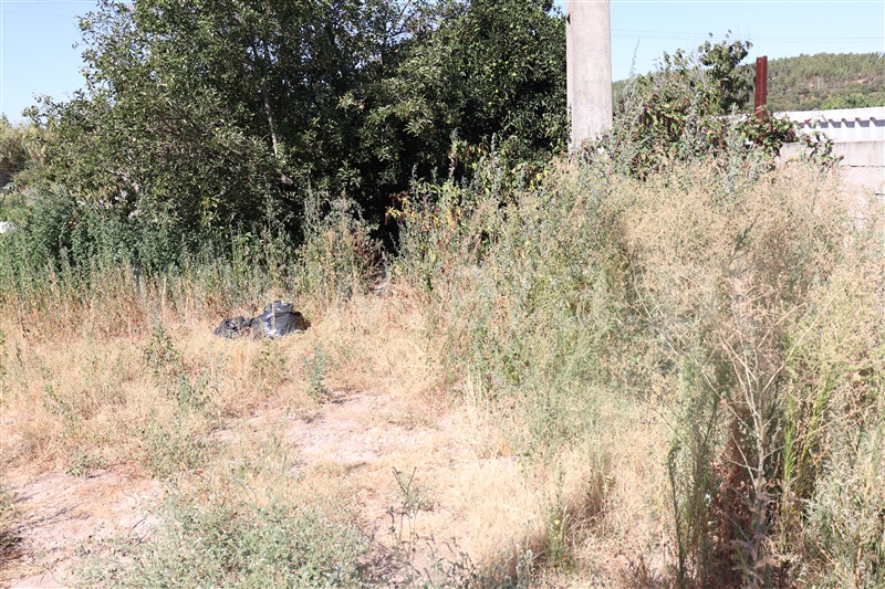 Lote  Abrantes, Tramagal - 1348806 - 2