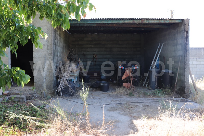 Lote  Abrantes, Tramagal - 1348806 - 3