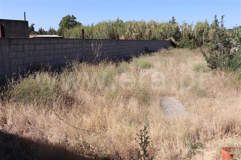Lote  Abrantes, Tramagal - 1348806 - 5
