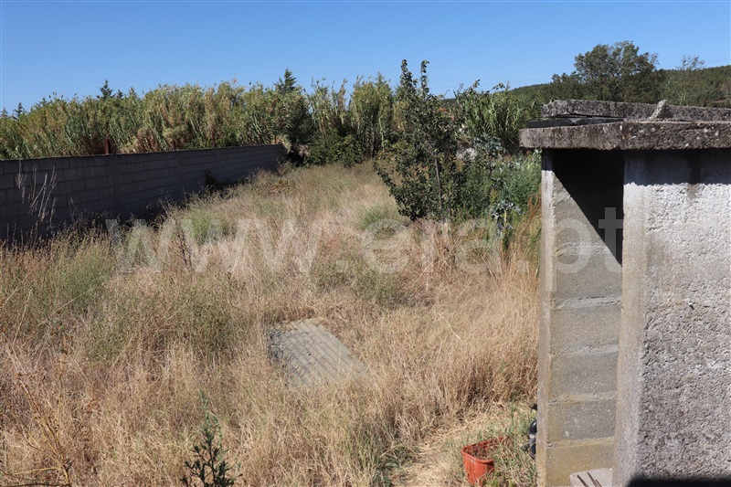 Lote  Abrantes, Tramagal - 1348806 - 6