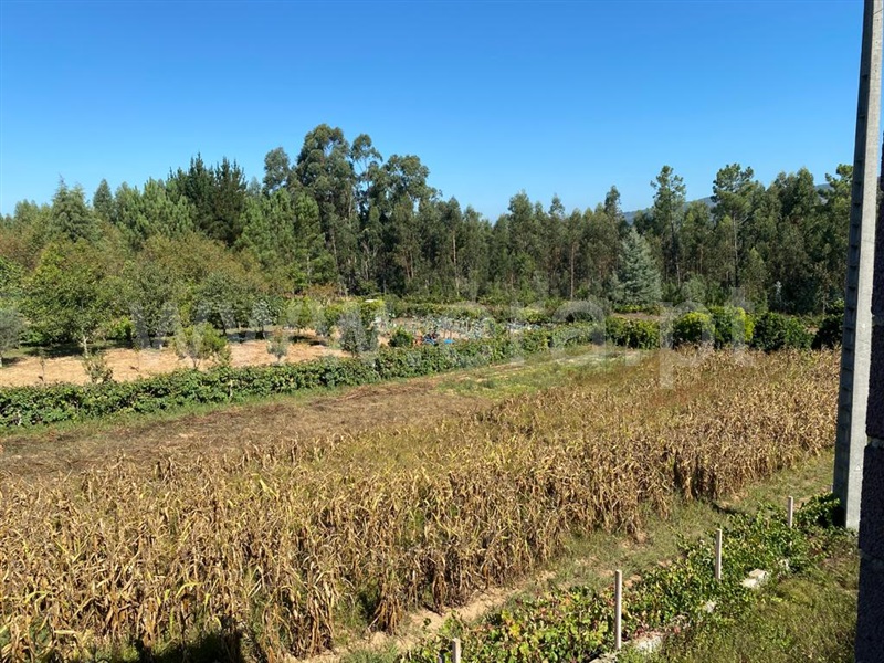 Terreno  Águeda, A-dos-Ferreiros - 1273821 - 8