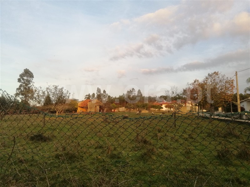 Terreno  Águeda, Aguada de Cima - 1143392 - 2