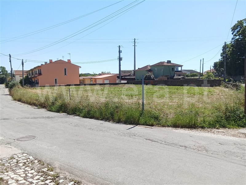 Terreno / Águeda, Aguada de Cima