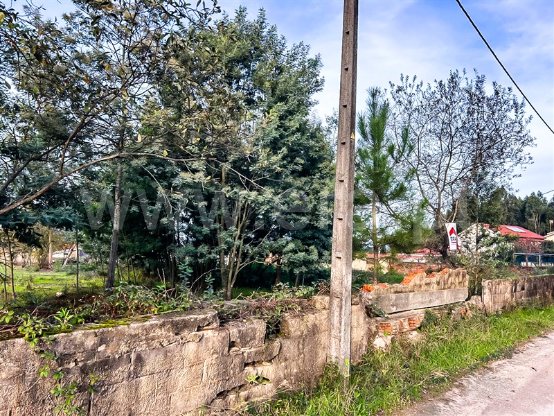Terreno  Águeda, Aguada de Cima - 1447606 - 2
