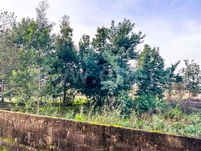 Terreno  Águeda, Aguada de Cima - 1447606 - 4