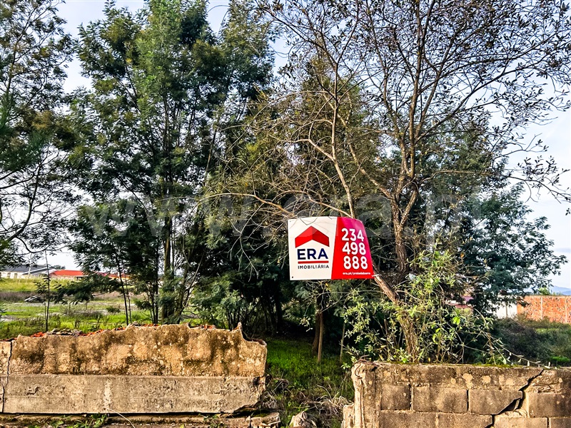 Terreno  Águeda, Aguada de Cima - 1447606 - 7
