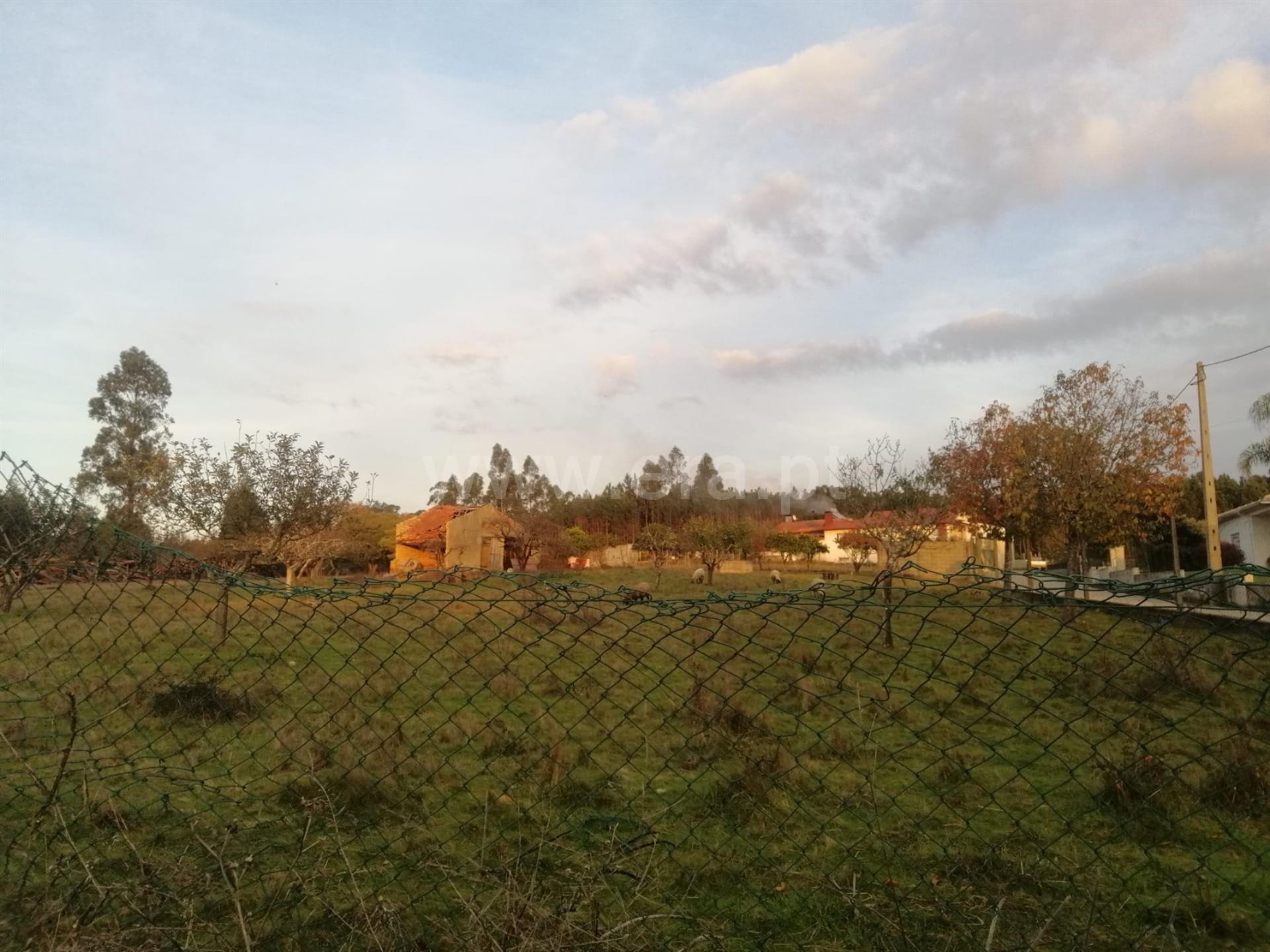 Land for sale in Águeda, Portugal — €132,000