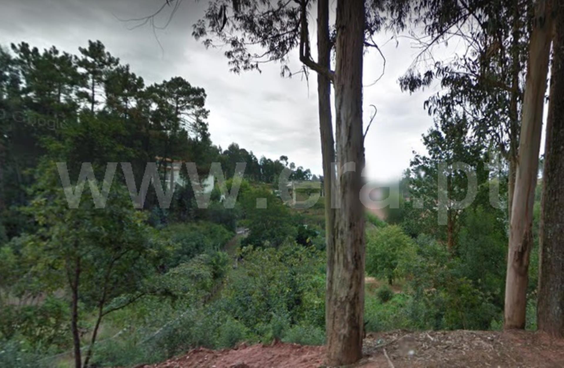 Land for sale in Águeda, Portugal — €63,000