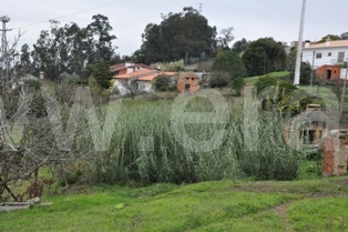 Terreno / Águeda, Barrô