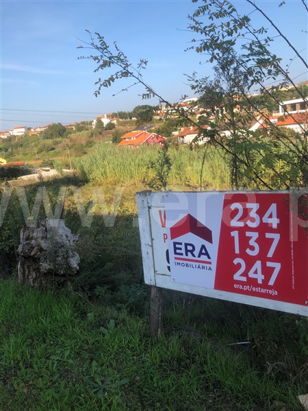 Terreno / Águeda, Borralha